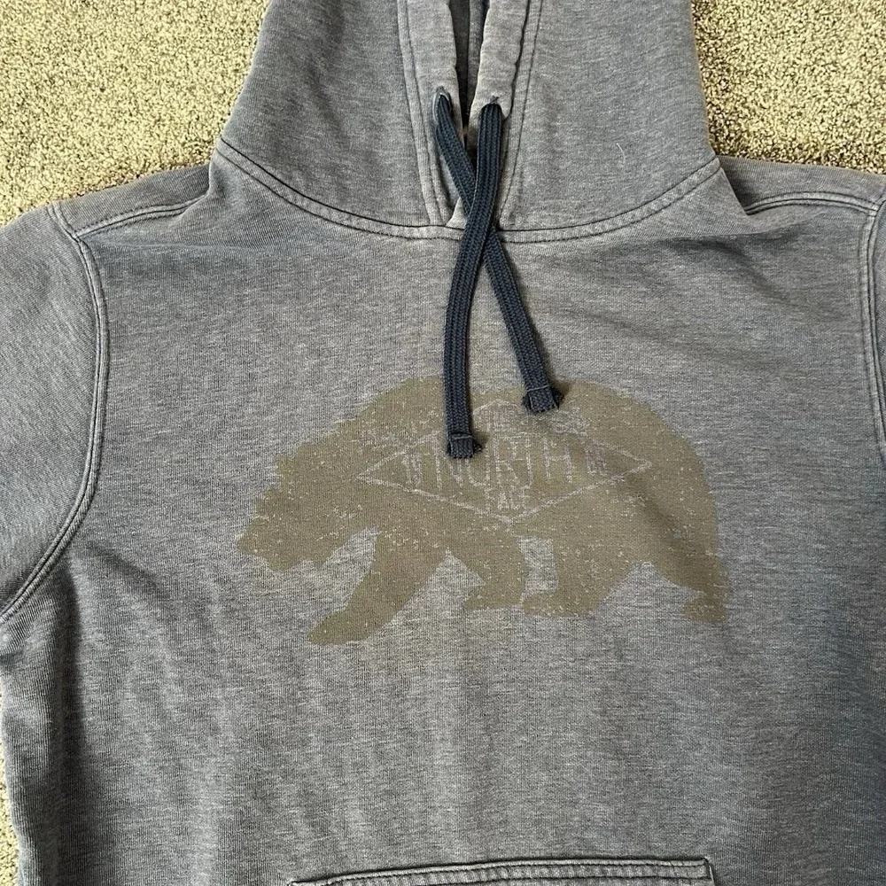 The North Face Hoodie Mens Medium Gray Bear Graphic Pullover Sweatshirt